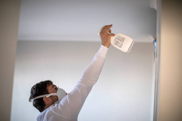 Best Mold Testing  in Kelseyville, CA