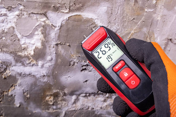 Best Mold Testing  in Kelseyville, CA