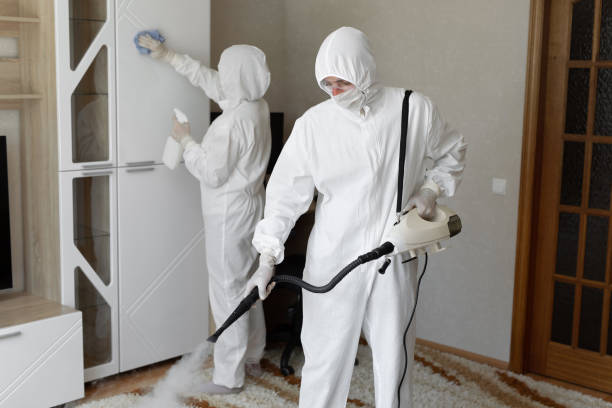 Best Local Mold Removal Service  in Kelseyville, CA